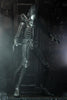 Neca - Alien - Ultimate 40th Anniversary Big Chap