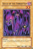 undefined (PSV-098) - Pharaoh's Servant Unlimited