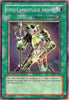 undefined (AST-035) - Ancient Sanctuary 1st Edition