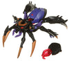 Transformers Animated Deluxe Class BlackArachnia