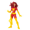 Marvel Legends Series Classic Dark Phoenix