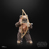 Star Wars The Black Series Wicket Action Figures