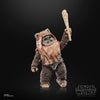 Star Wars The Black Series Wicket Action Figures