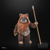 Star Wars The Black Series Wicket Action Figures