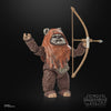 Star Wars The Black Series Wicket Action Figures