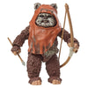 Star Wars The Black Series Wicket Action Figures