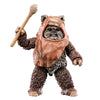 Star Wars The Black Series Wicket Action Figures