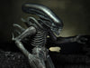 Neca Alien 40th Anniversary Giger's Alien