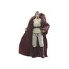 Star Wars The Vintage Collection Jedi Master Indara