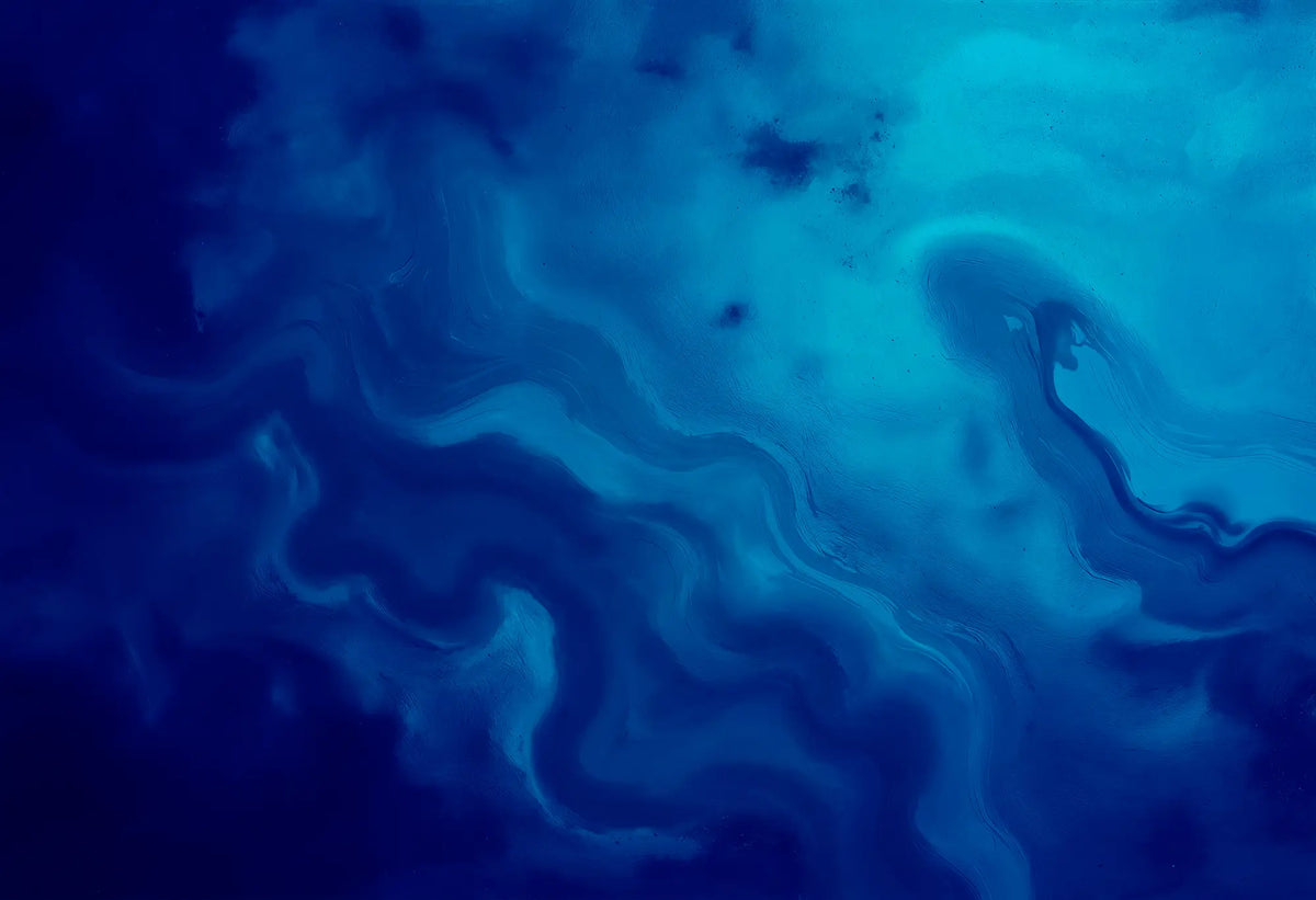 Banner image