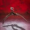 Rodan (2021) -The second form- Godzilla S.P Singular Point" S.H.MonsterArts